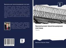 Bookcover of Бразильская пенитенциарная система