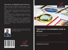 Portada del libro de Tworzenie i przedsiębiorczość w Afryce