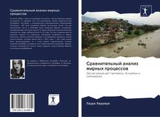 Сравнительный анализ мирных процессов的封面