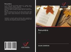 Buchcover von Penumbra
