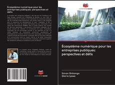 Buchcover von Écosystème numérique pour les entreprises publiques: perspectives et défis