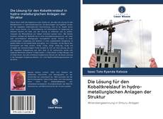 Portada del libro de Die Lösung für den Kobaltkreislauf in hydro-metallurgischen Anlagen der Struktur