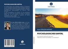 Capa do livro de PSYCHOLOGISCHES KAPITAL 