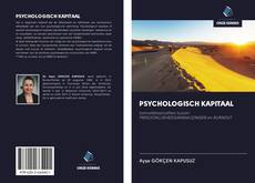 Bookcover of PSYCHOLOGISCH KAPITAAL