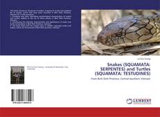 Buchcover von Snakes (SQUAMATA: SERPENTES) and Turtles (SQUAMATA: TESTUDINES)