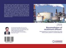 Copertina di Bioremediation of recalcitrant effluent