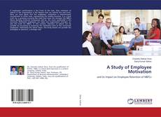 Copertina di A Study of Employee Motivation