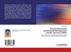 Buchcover von Electrochemically synthesized Nanoporous anodic alumina (NAA)