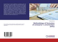 Buchcover von Methodology of formation of enterprise`s amortization policy