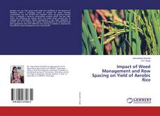 Copertina di Impact of Weed Management and Row Spacing on Yield of Aerobic Rice