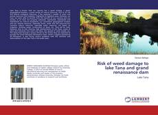 Buchcover von Risk of weed damage to lake Tana and grand renaissance dam