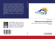 Buchcover von Поиски колчеданов