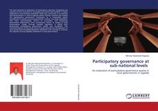 Buchcover von Participatory governance at sub-national levels