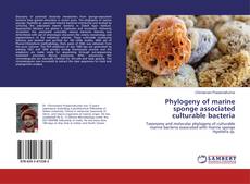 Buchcover von Phylogeny of marine sponge associated culturable bacteria
