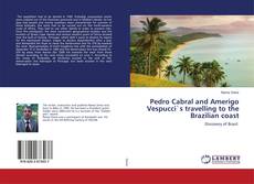 Buchcover von Pedro Cabral and Amerigo Vespucci`s travelling to the Brazilian coast
