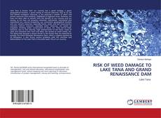 Copertina di RISK OF WEED DAMAGE TO LAKE TANA AND GRAND RENAISSANCE DAM