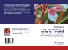 Copertina di Alpinia zerumbet: drying and biological properties