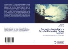 Copertina di Convective Instability in a Ferrofluid Saturated Porous Medium