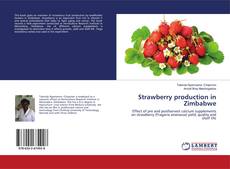 Buchcover von Strawberry production in Zimbabwe