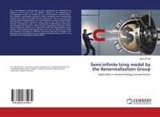 Copertina di Semi-infinite Ising model by the Renormalization Group