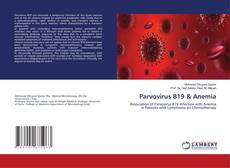 Copertina di Parvovirus B19 & Anemia