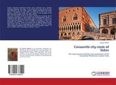 Copertina di Canaanite city-state of Sidon