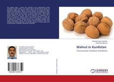 Buchcover von Walnut in Kurdistan