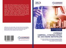 Buchcover von CYPRINUS CARPIO(L.,1758)'DA CYP2E1 VE 3A4 ENZİM AKTİVİTELERİ