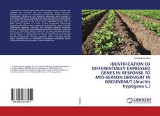 Copertina di IDENTIFICATION OF DIFFERENTIALLY EXPRESSED GENES IN RESPONSE TO MID-SEASON DROUGHT IN GROUNDNUT (Arachis hypogaea L.)