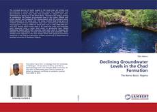 Buchcover von Declining Groundwater Levels in the Chad Formation