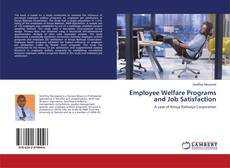 Buchcover von Employee Welfare Programs and Job Satisfaction