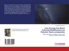 Copertina di Low Energy Ion Beam Induced Modification on Polymer Nano-composites