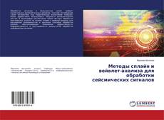 Buchcover von Методы сплайн и вейвлет-анализа для обработки сейсмических сигналов