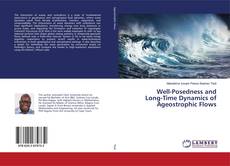 Copertina di Well-Posedness and Long-Time Dynamics of Ageostrophic Flows