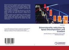 Buchcover von Dimensionality reduction by Space Decomposition and Gradient
