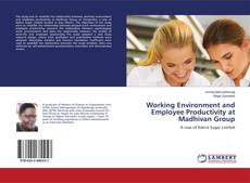 Buchcover von Working Environment and Employee Productivity at Madhivan Group