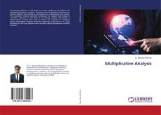 Buchcover von Multiplicative Analysis