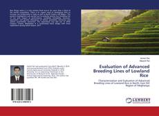 Buchcover von Evaluation of Advanced Breeding Lines of Lowland Rice