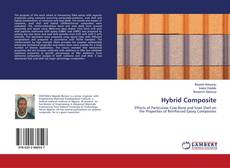 Buchcover von Hybrid Composite