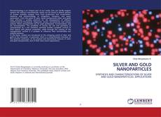 Copertina di SILVER AND GOLD NANOPARTICLES