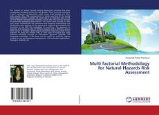 Buchcover von Multi factorial Methodology for Natural Нazards Risk Assessment