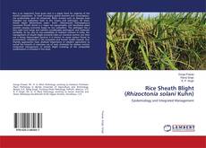Buchcover von Rice Sheath Blight (Rhizoctonia solani Kuhn)