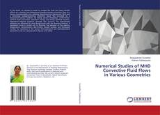 Buchcover von Numerical Studies of MHD Convective Fluid Flows in Various Geometries