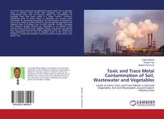 Copertina di Toxic and Trace Metal Contamination of Soil, Wastewater and Vegetables
