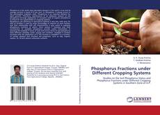 Copertina di Phosphorus Fractions under Different Cropping Systems