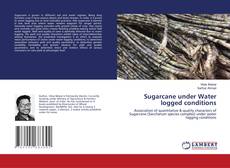 Copertina di Sugarcane under Water logged conditions