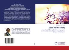 Buchcover von Lead Acid Battery