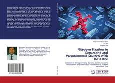 Buchcover von Nitrogen Fixation in Sugarcane and Pseudomonas Stutzeri with Host Rice