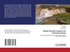 Copertina di Gully Erosion Impact on Infrastructures
