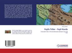 Buchcover von Feylis Tribe – Feyli Kurds